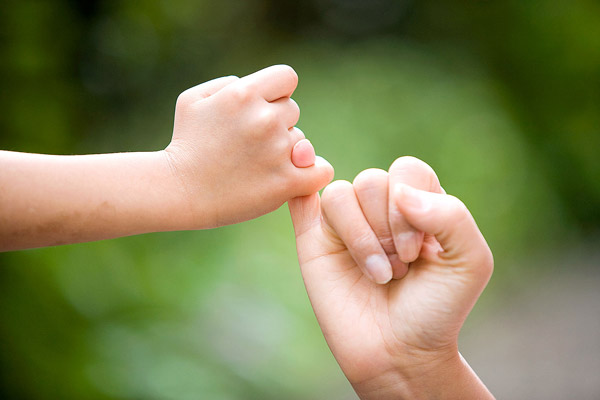 هفت مؤلفه تأثیرگذار در بروز تمامیت